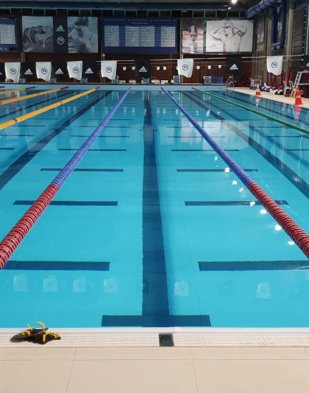 A swimming pool divided into swimlanes