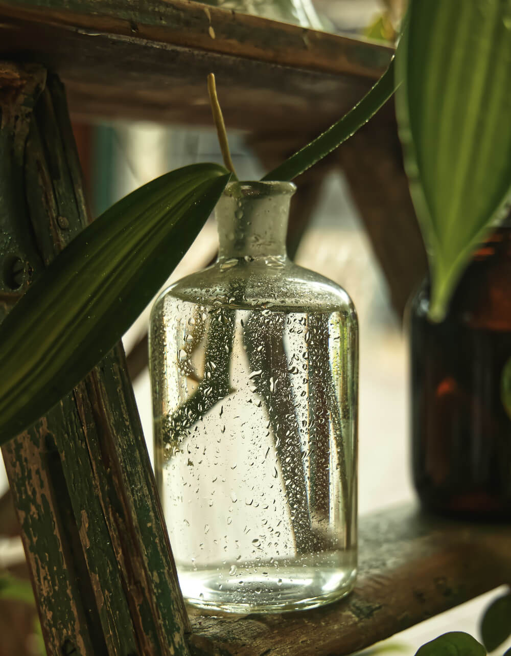 A Tactical Guide to Diagnosing and Resolving Bottlenecks in Kanban A bottle with a plant inside