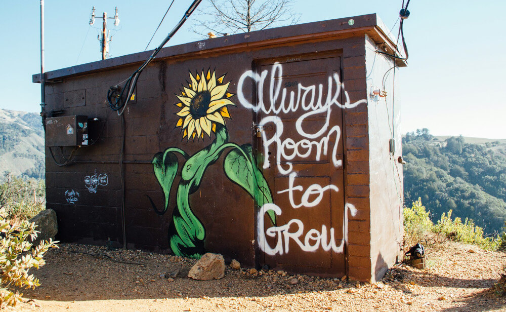 A shed with an Always Room To Grow graffiti on it