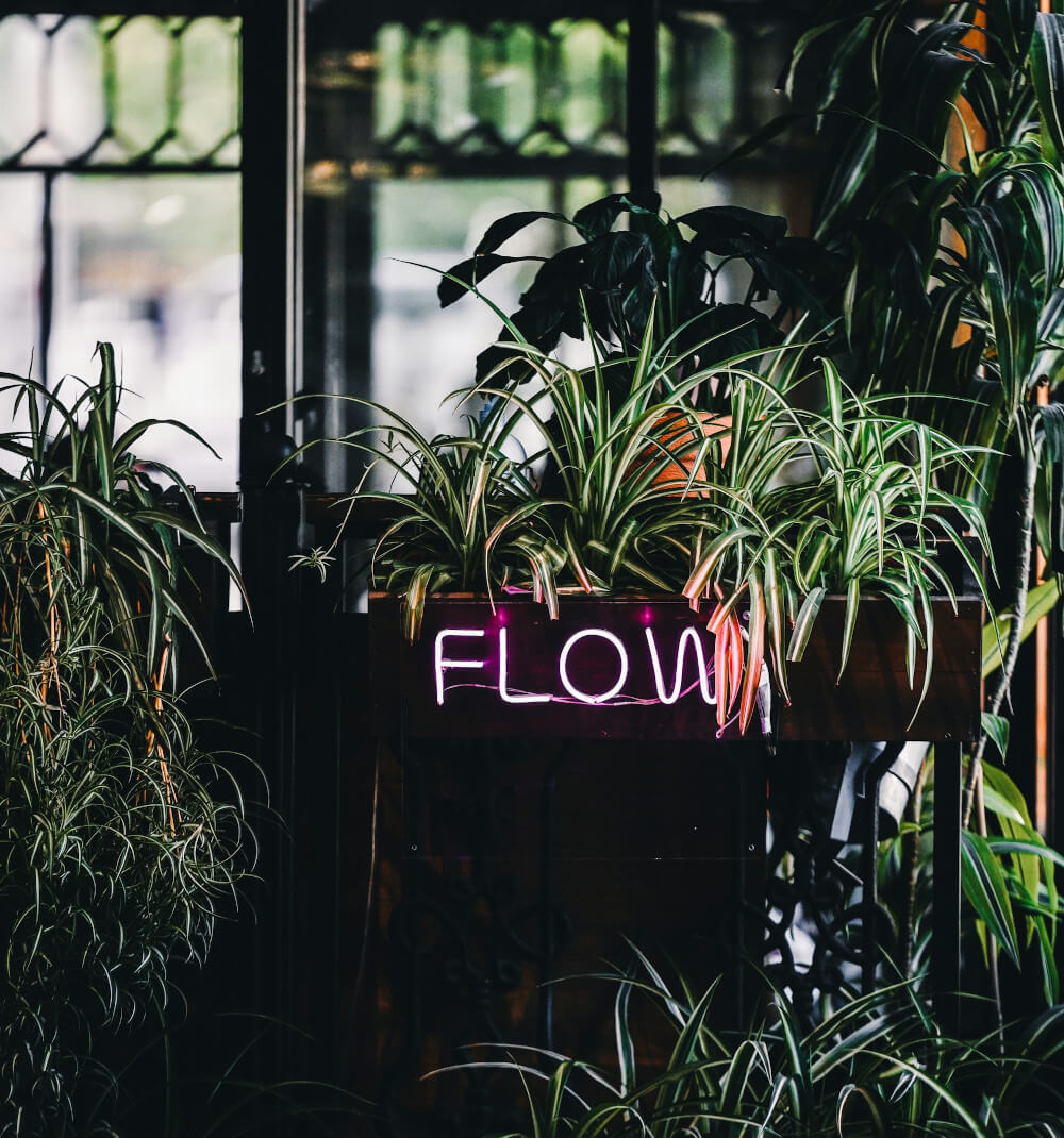 Treat constraints as dynamic A flow neon amongst greenery