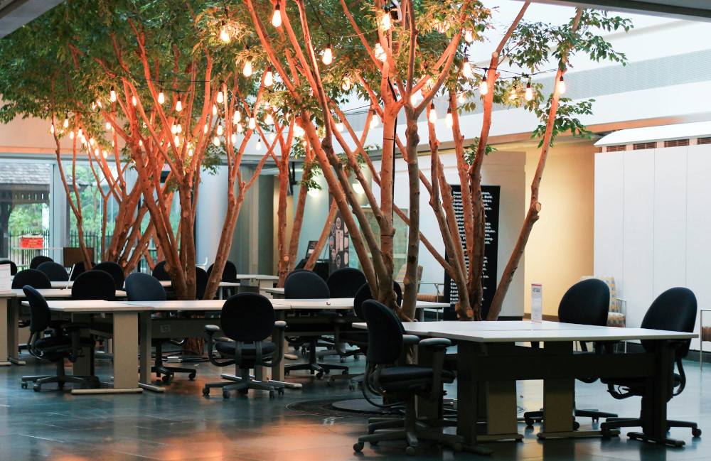 Work Space Team Empowerment Business Success