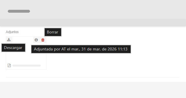 Detalles del archivo adjunto