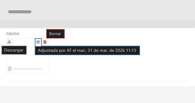 Detalles del archivo adjunto