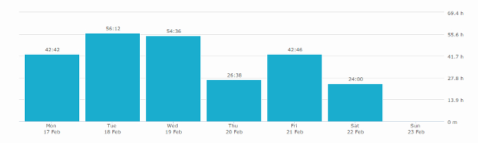 Bar stats in time report